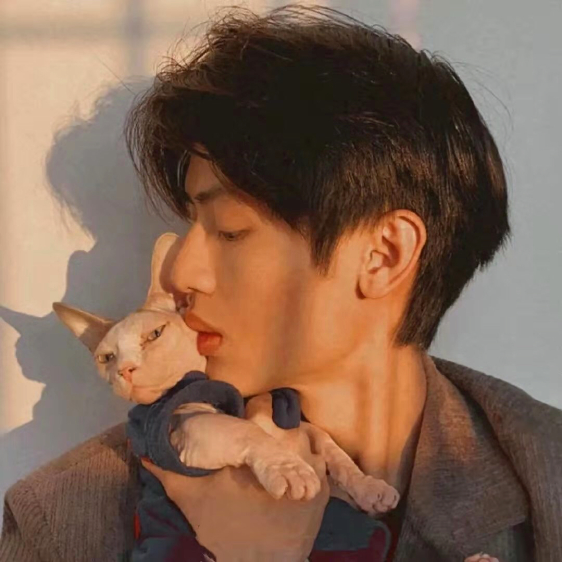 帅气多么鼠标的照片