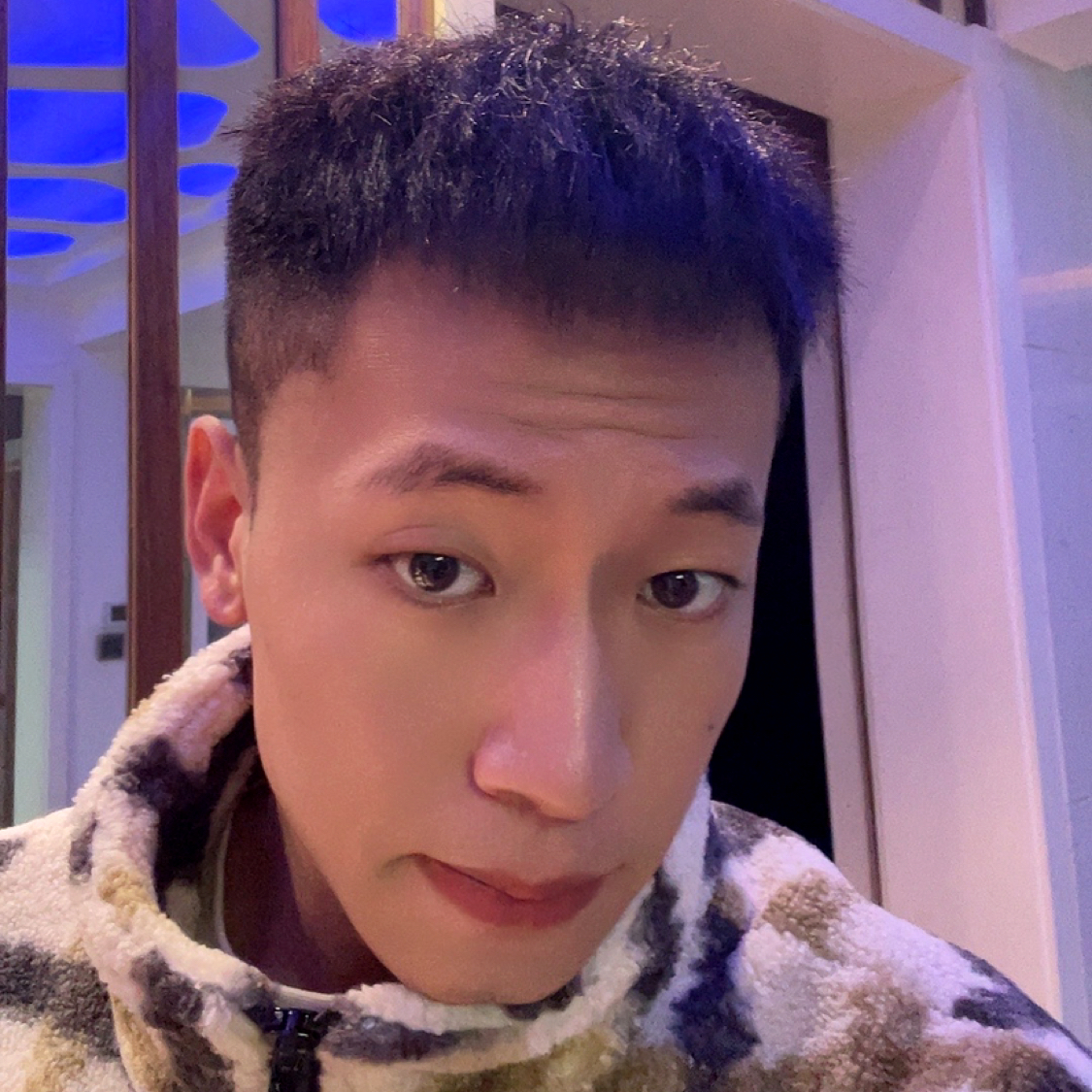 迅速愿剪影的照片