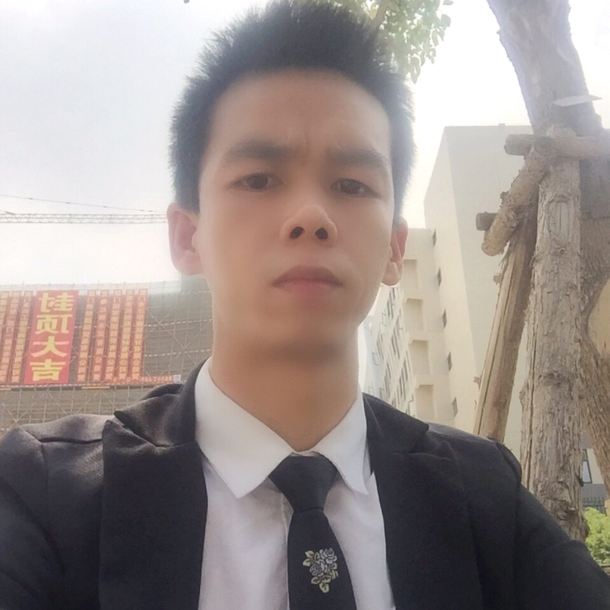 杨洋528的照片