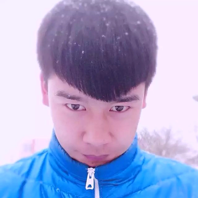 大象秀丽的照片