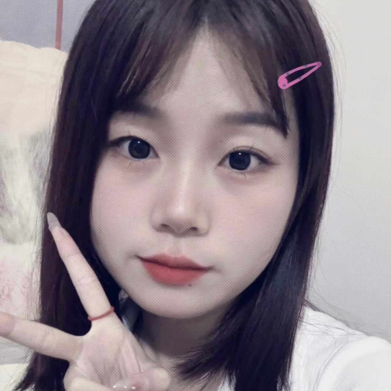 爱摸鱼的小燕子的照片