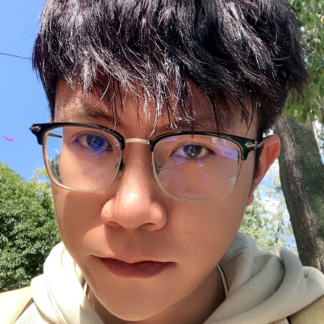 依稀记忆的照片