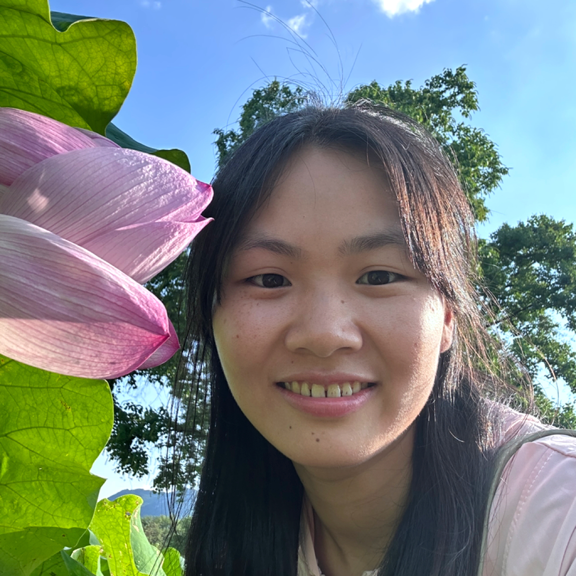谁de椰棕树的照片