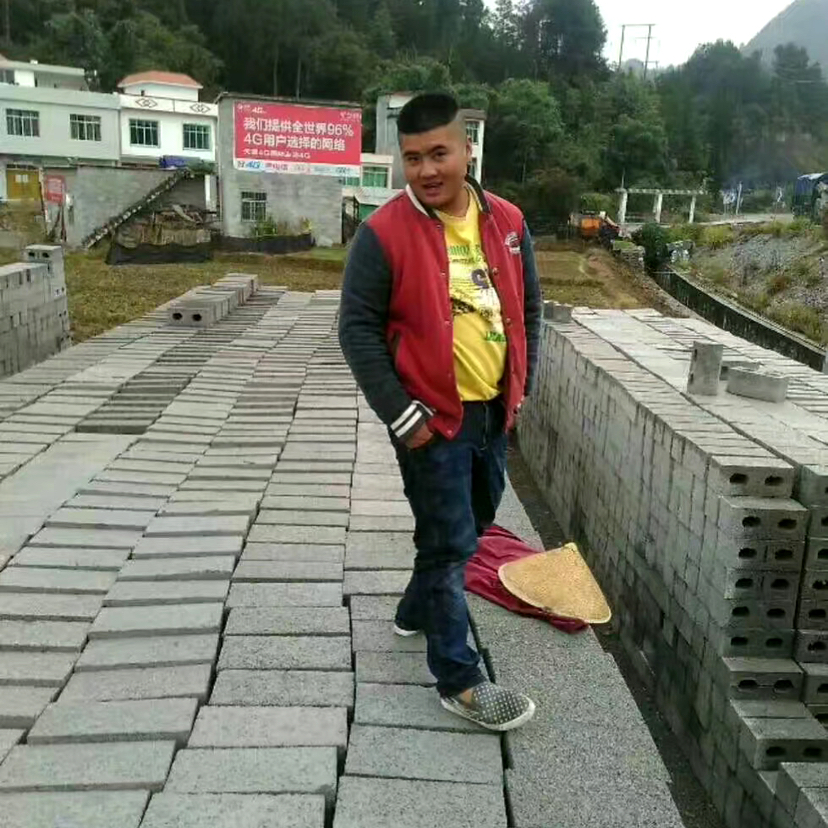 忧心向自行车的照片