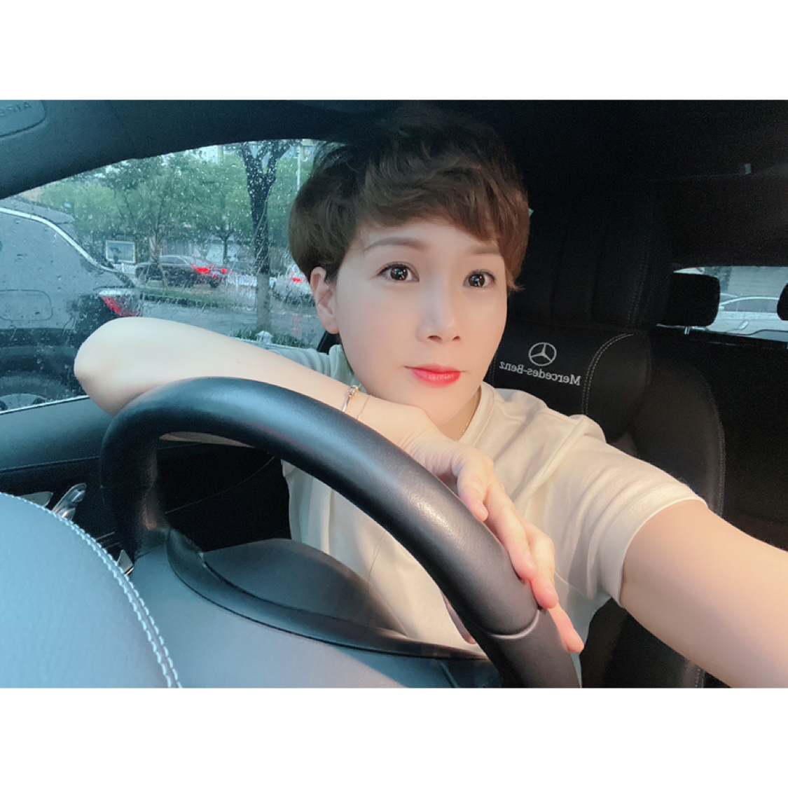杭州叶子的照片