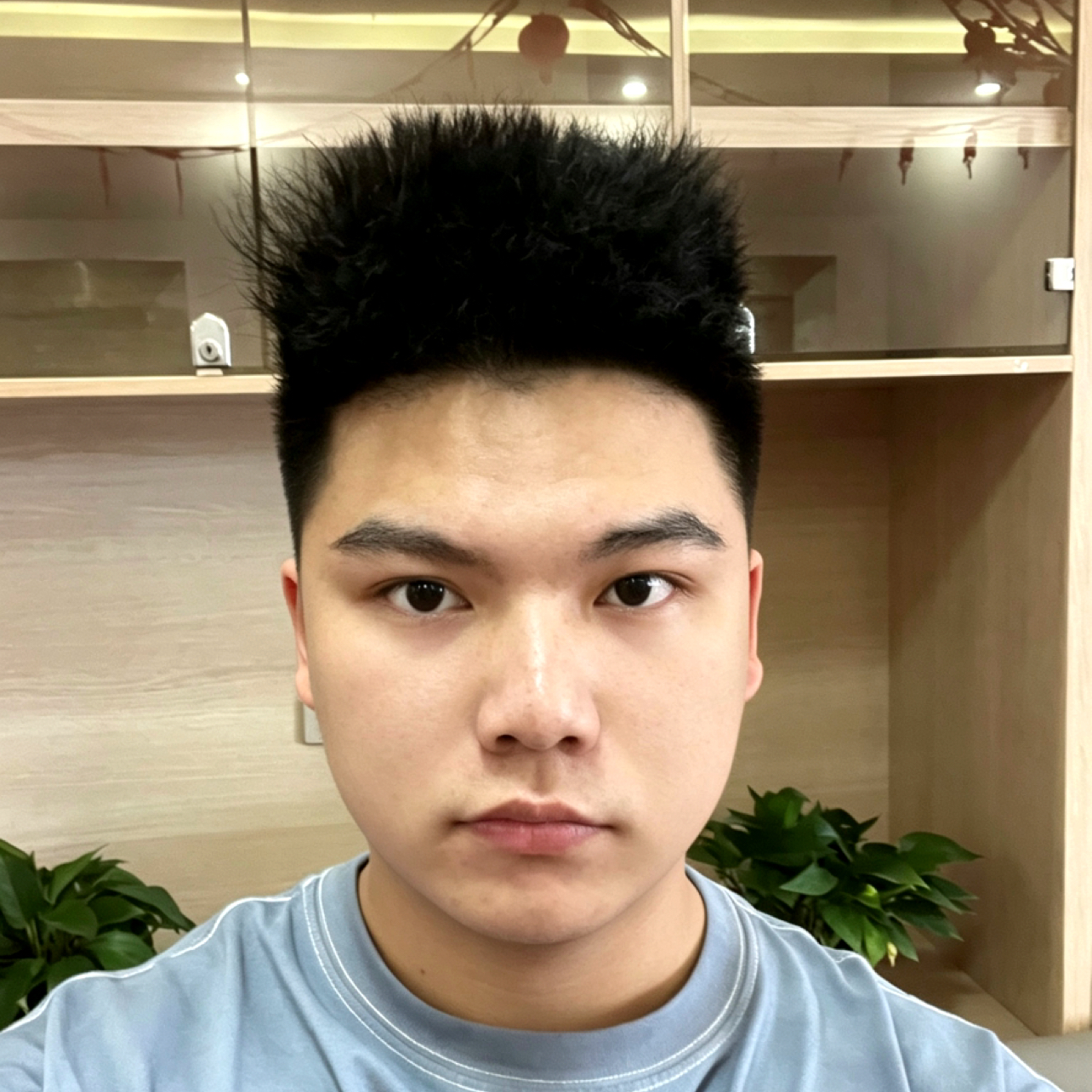 追寻的照片