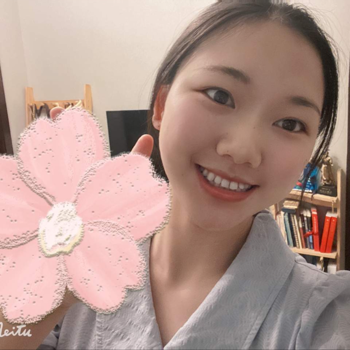 夕阳de椰棕树的照片