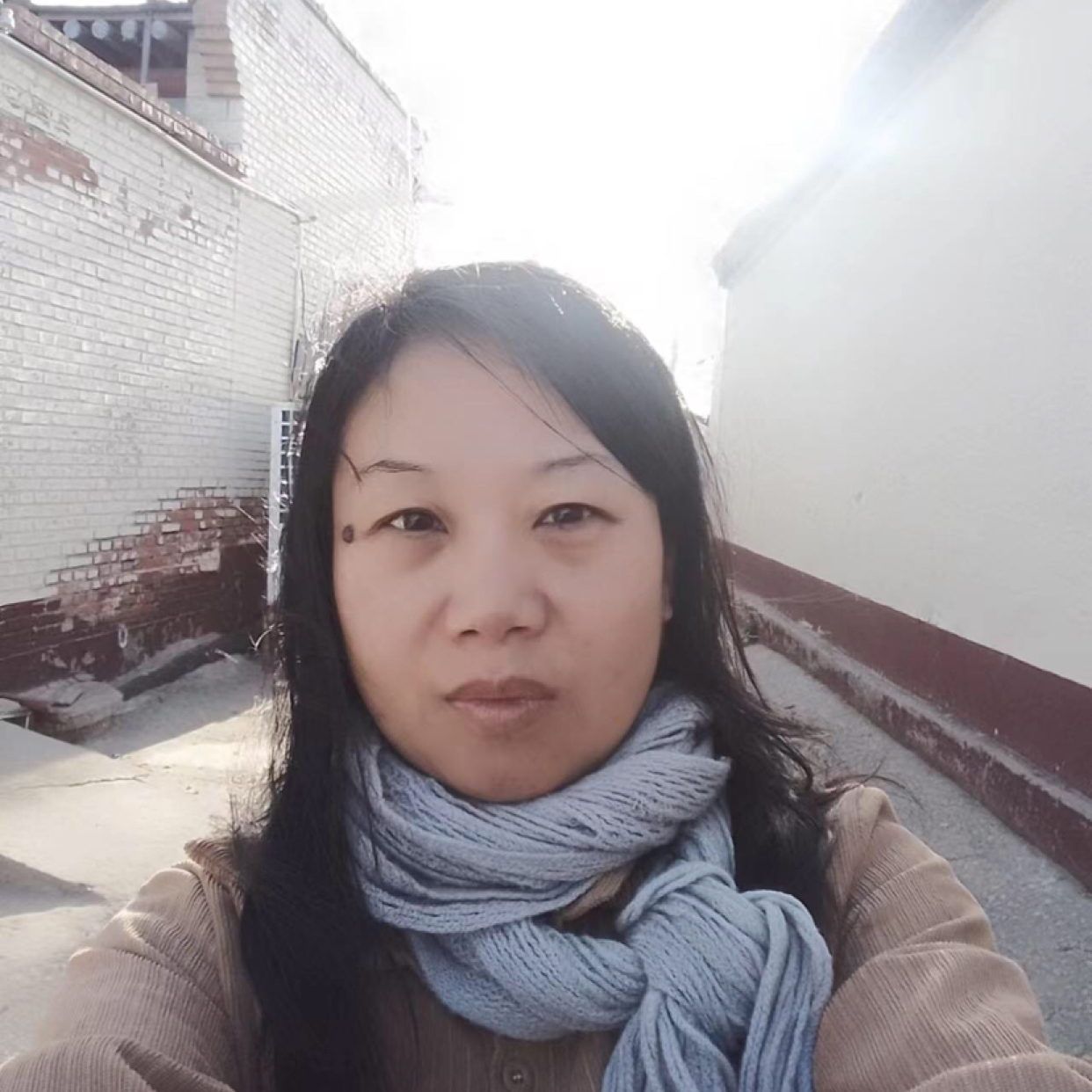 安静的小麻雀的照片