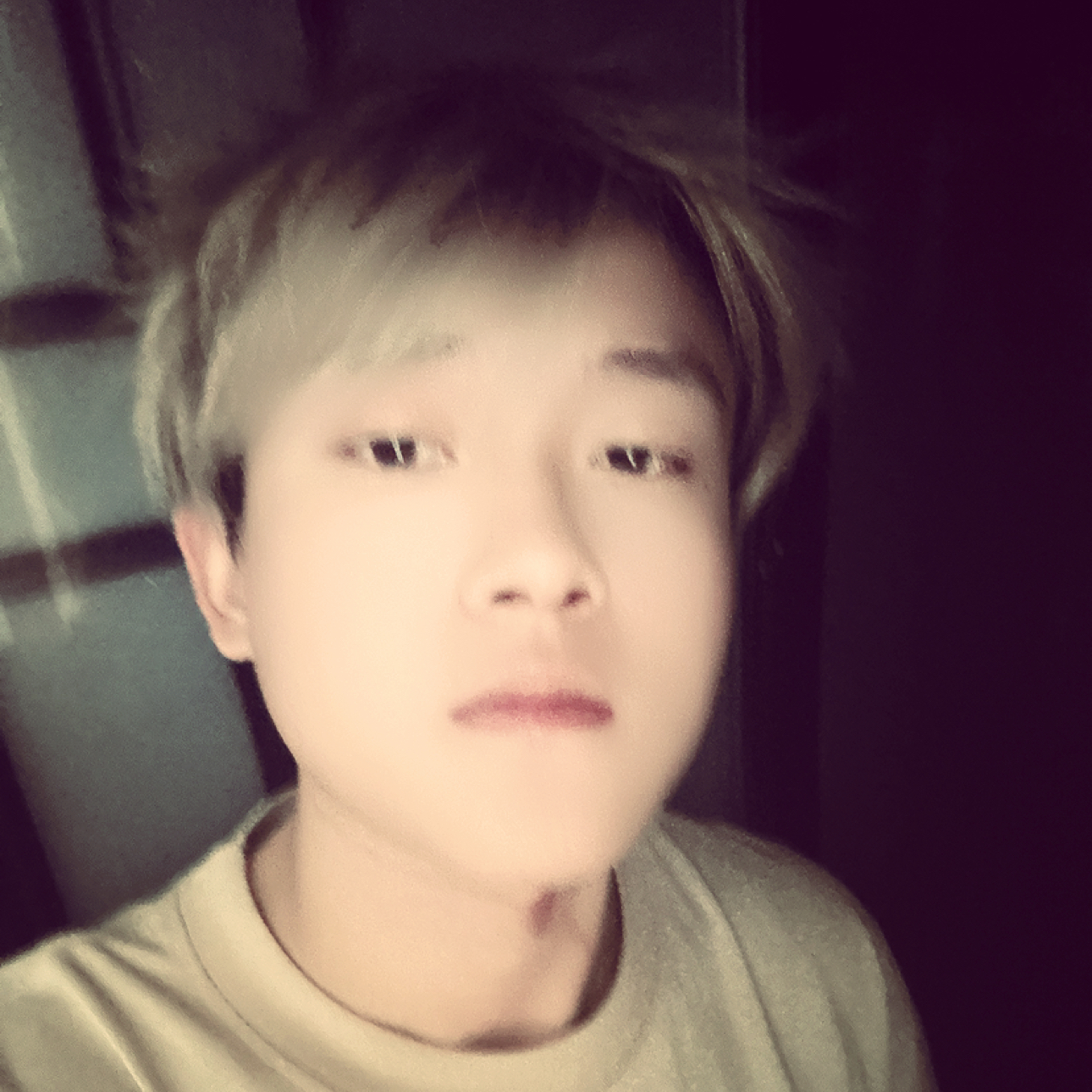 浅海鲤鱼的照片