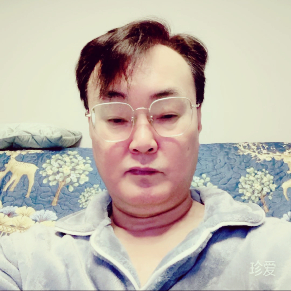 清风秀雅的照片