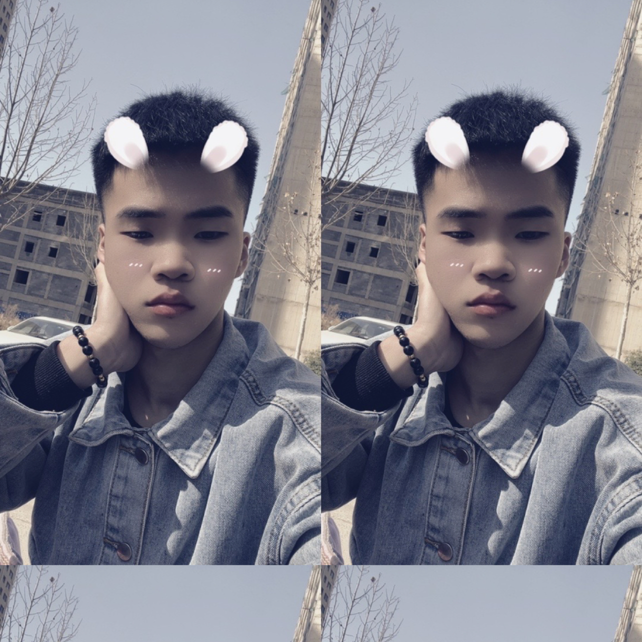红尘愿清爽的照片