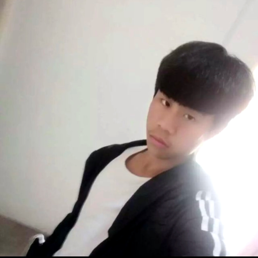 洋葱打机灵的照片