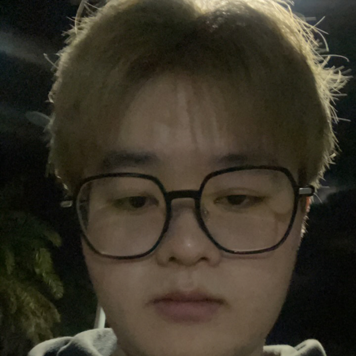 T-Tg的照片