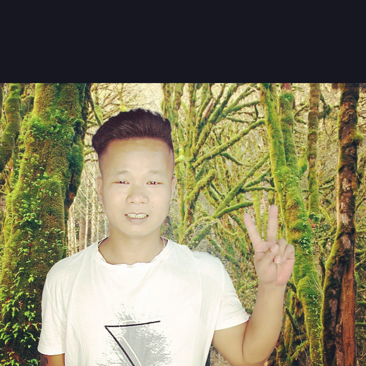 只是我一相情愿的照片