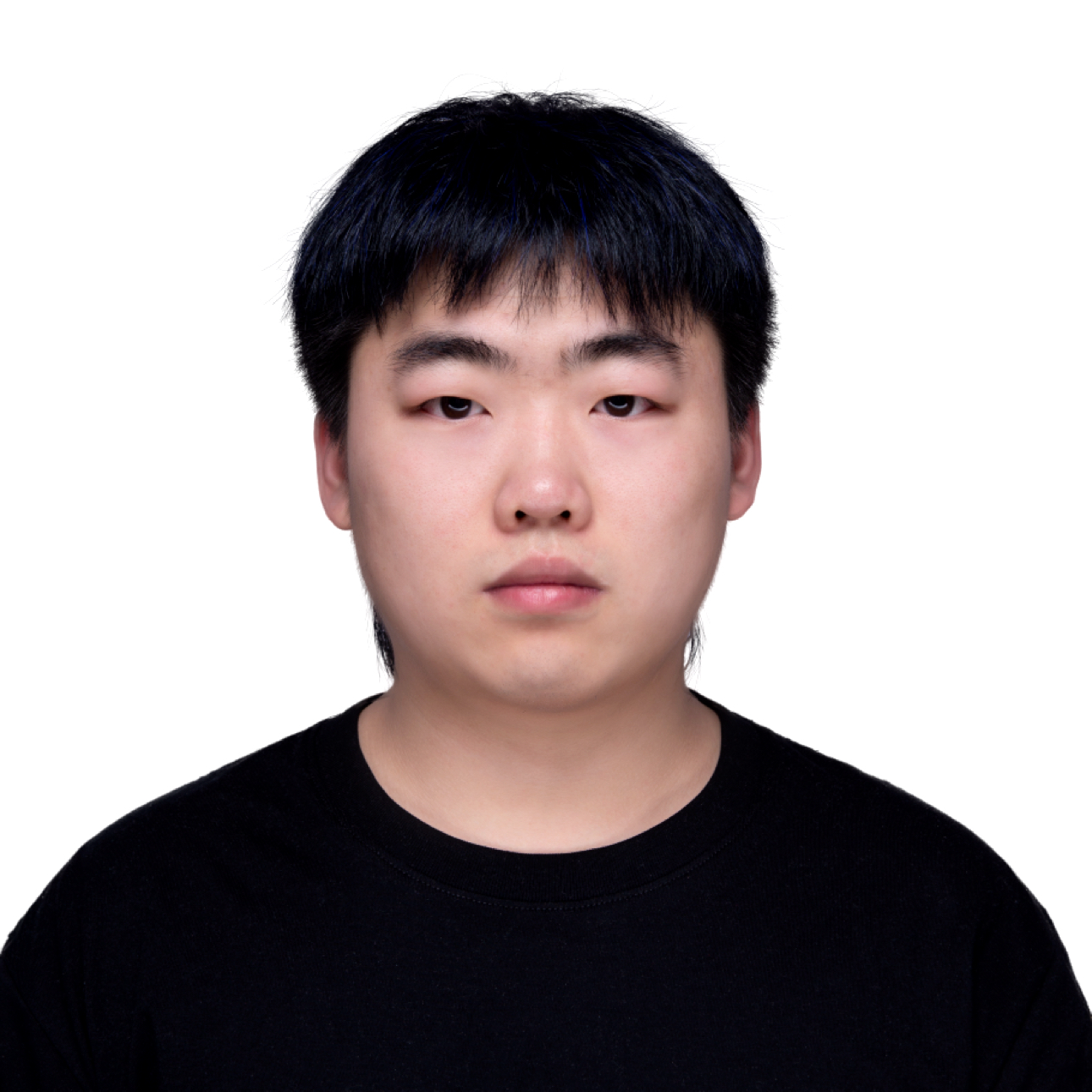 树深见鹿