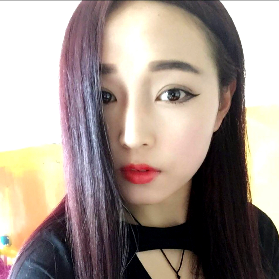 猫咪。，的照片