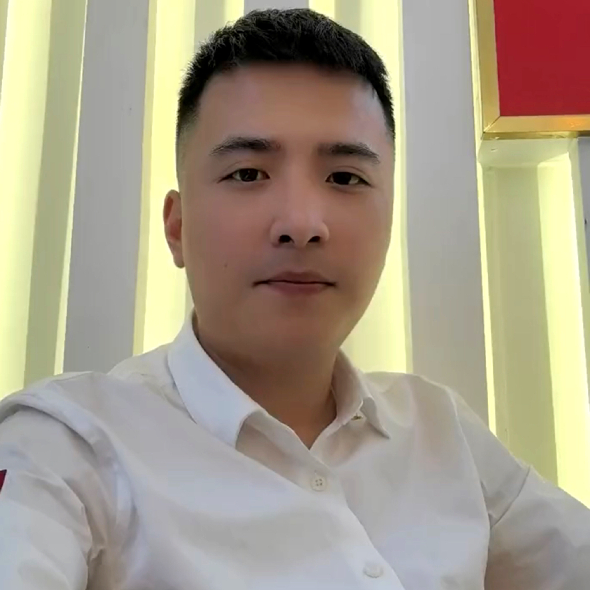 梦中de垂柳的照片