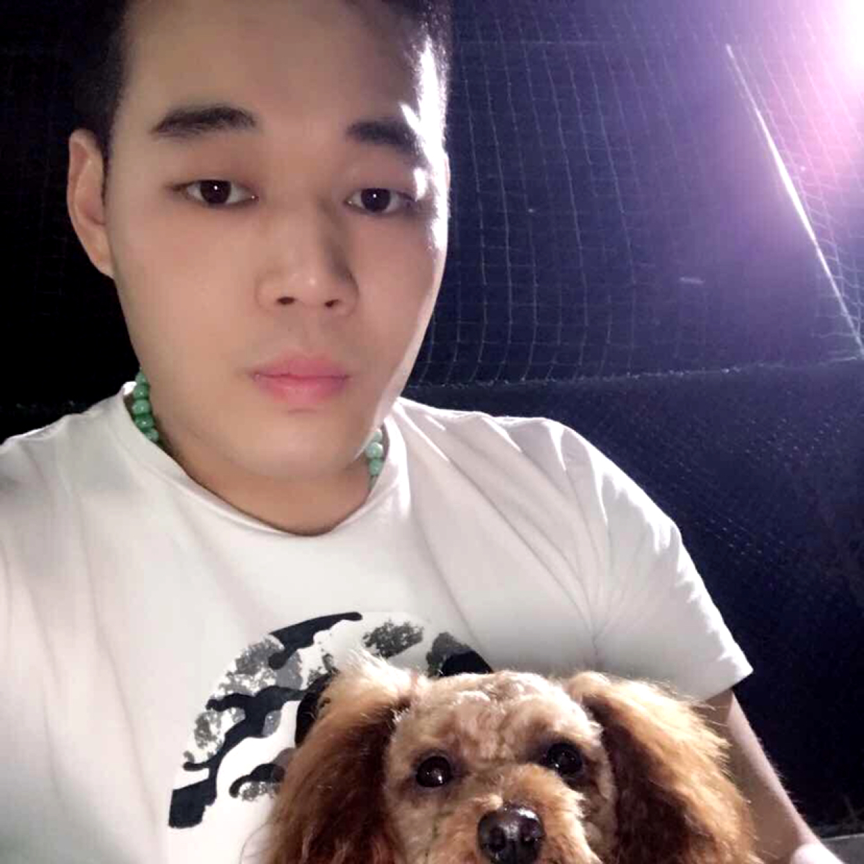 拓海淘沙的照片