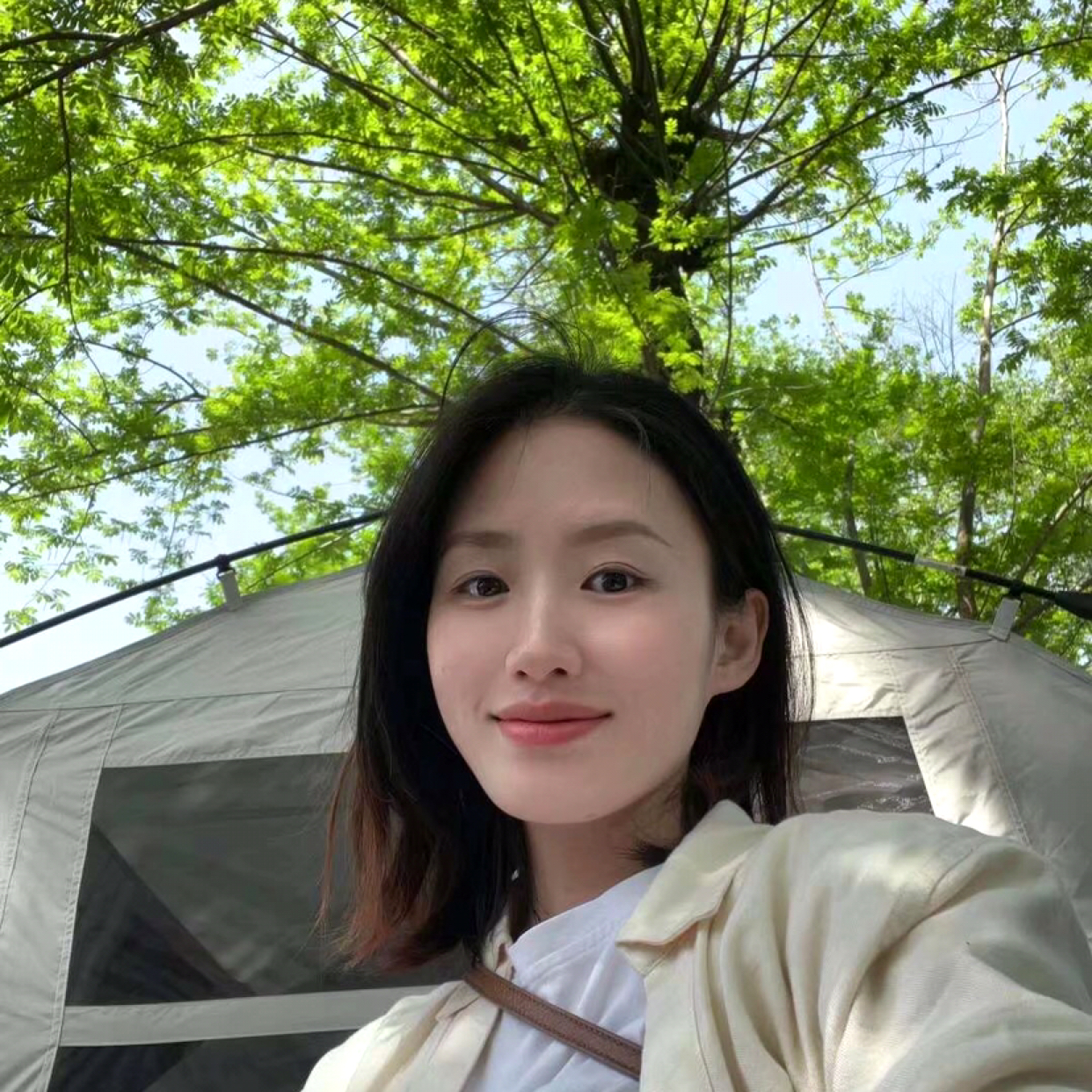 大意de猫头鹰的照片