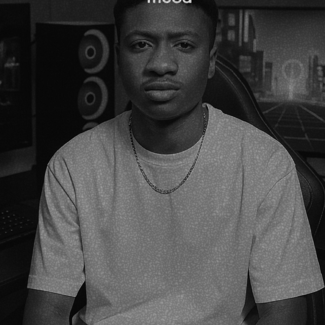 欢乐情景的照片