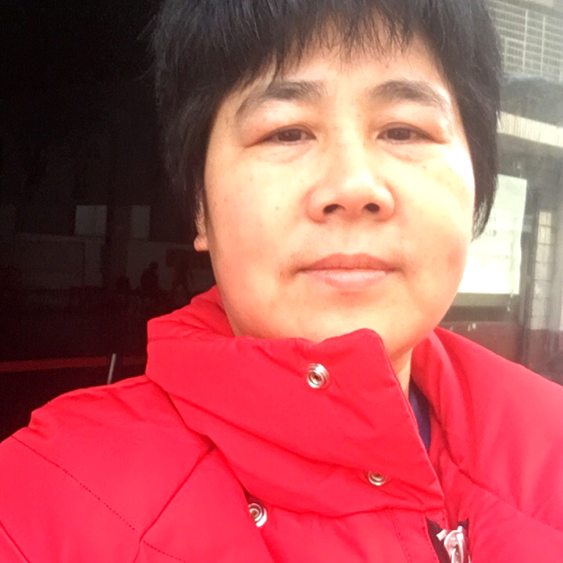 老燕纷飞的照片