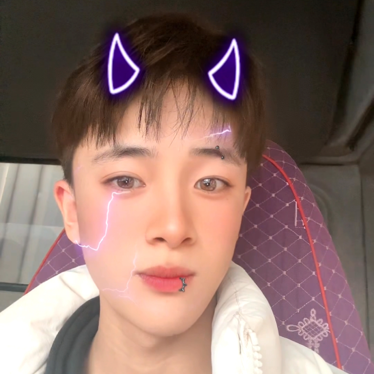 小白的照片