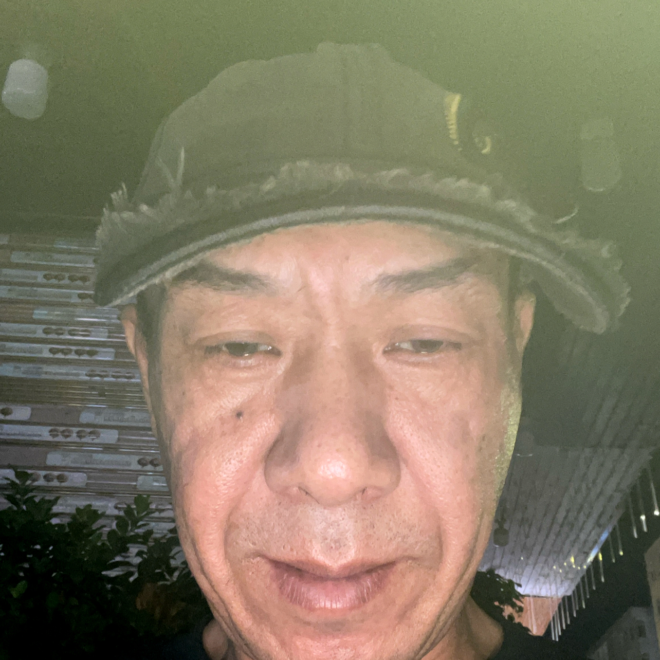 喜欢白金的照片