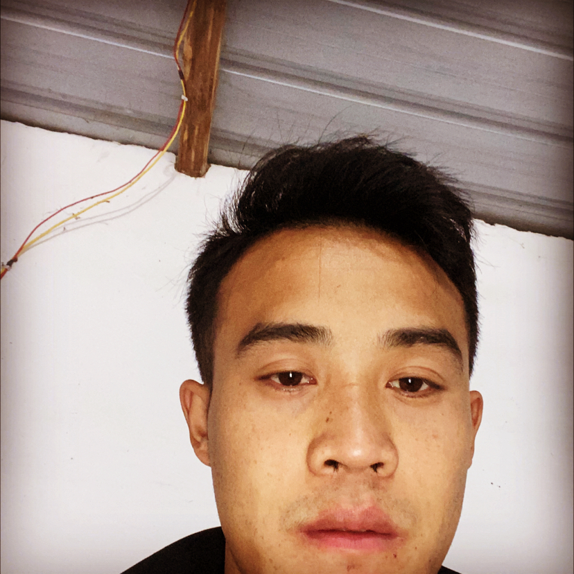 毛毛呆萌的照片