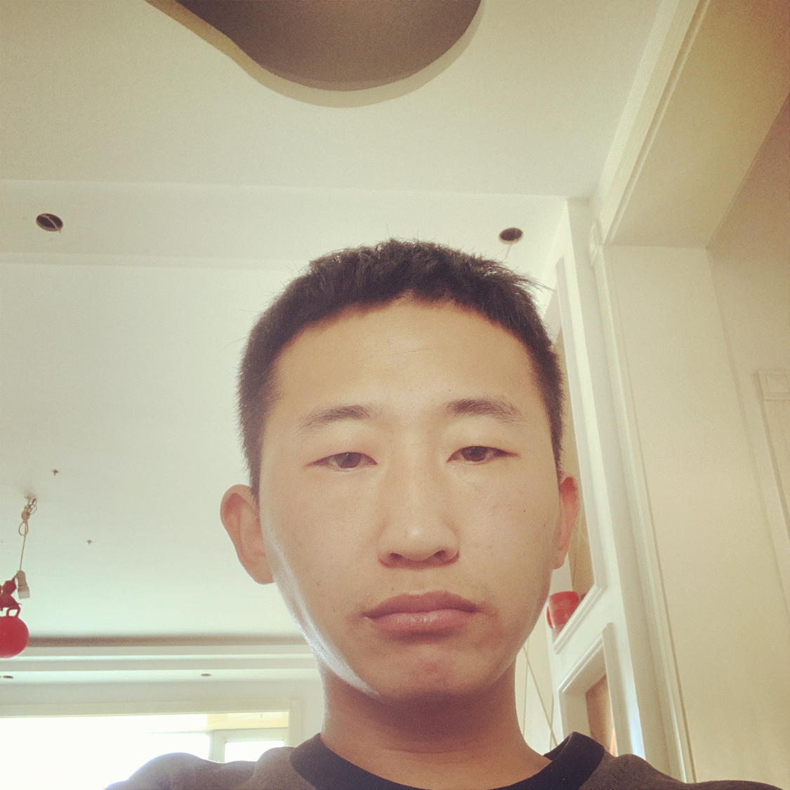 后来爱恋小鸽子的照片