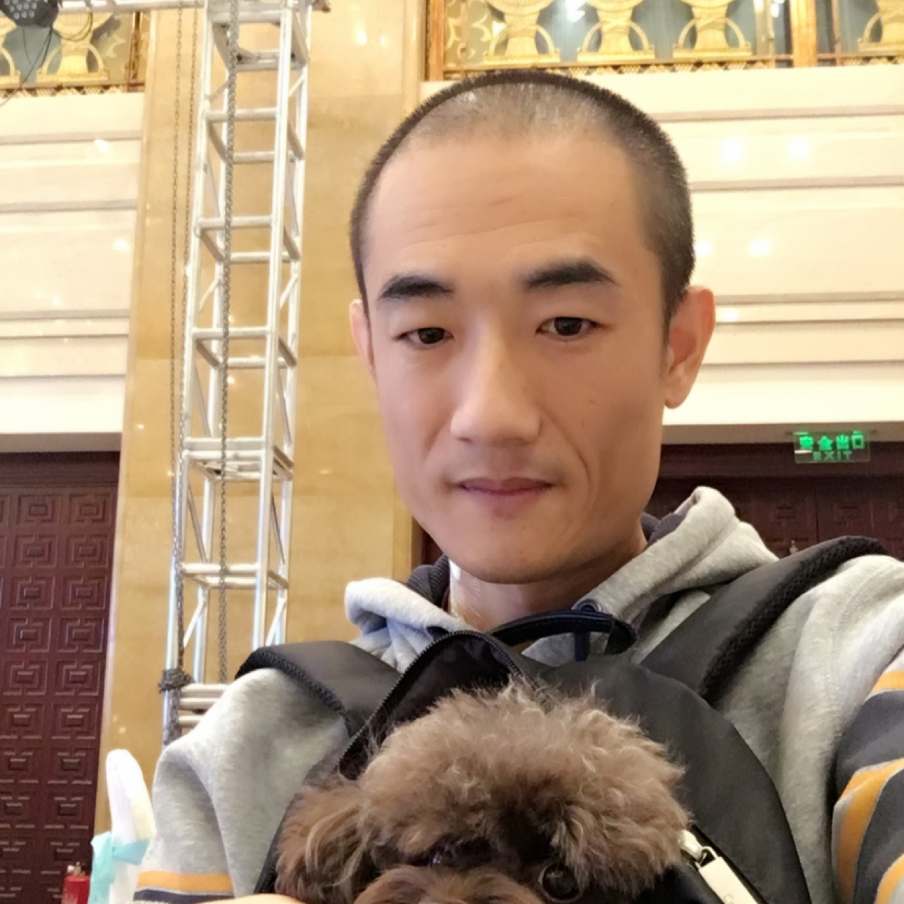 懒猫灬精灵的照片