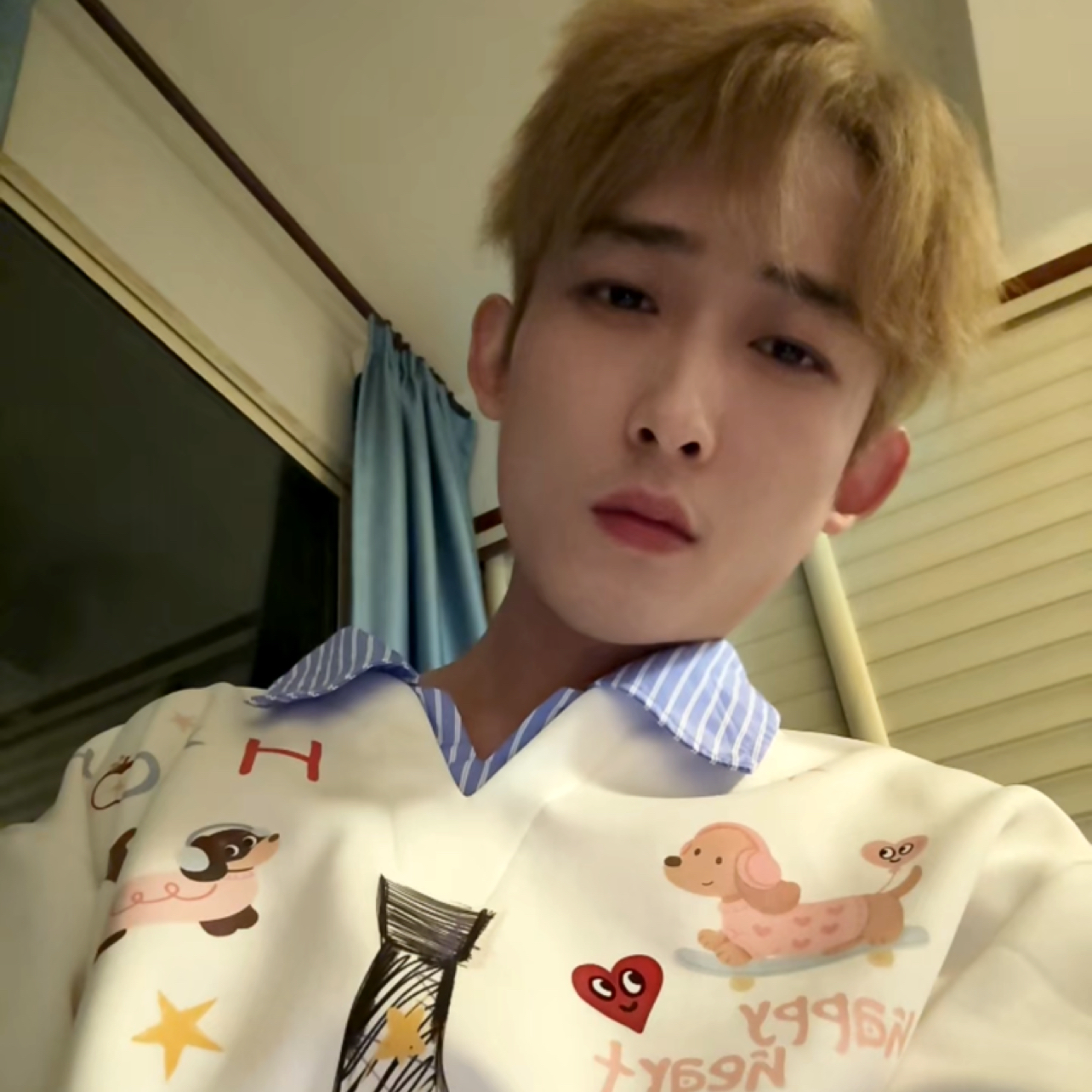 无辜de北极熊照片