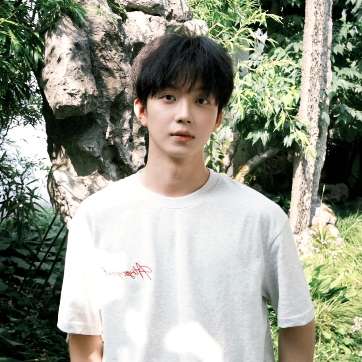 几分月色的照片