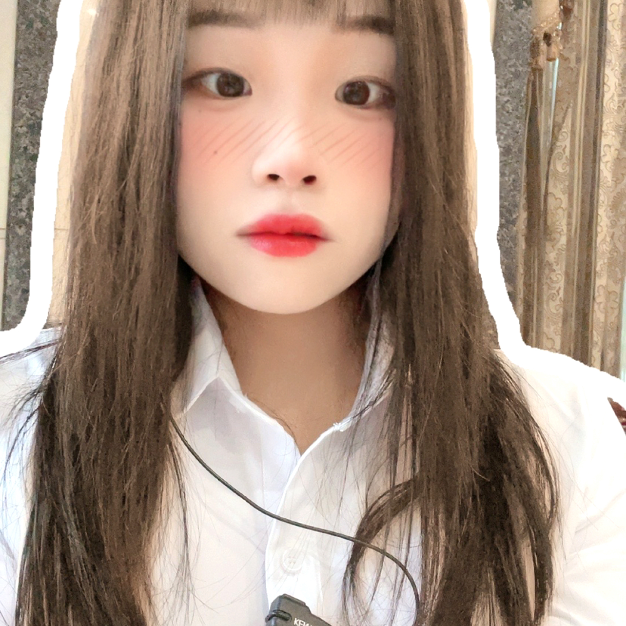 神秘de雨林的照片