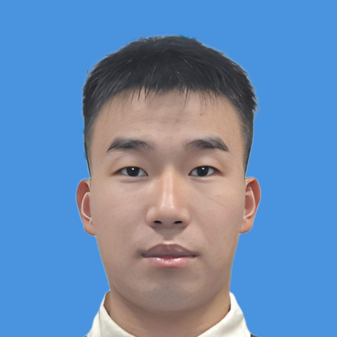 致命黑球的照片