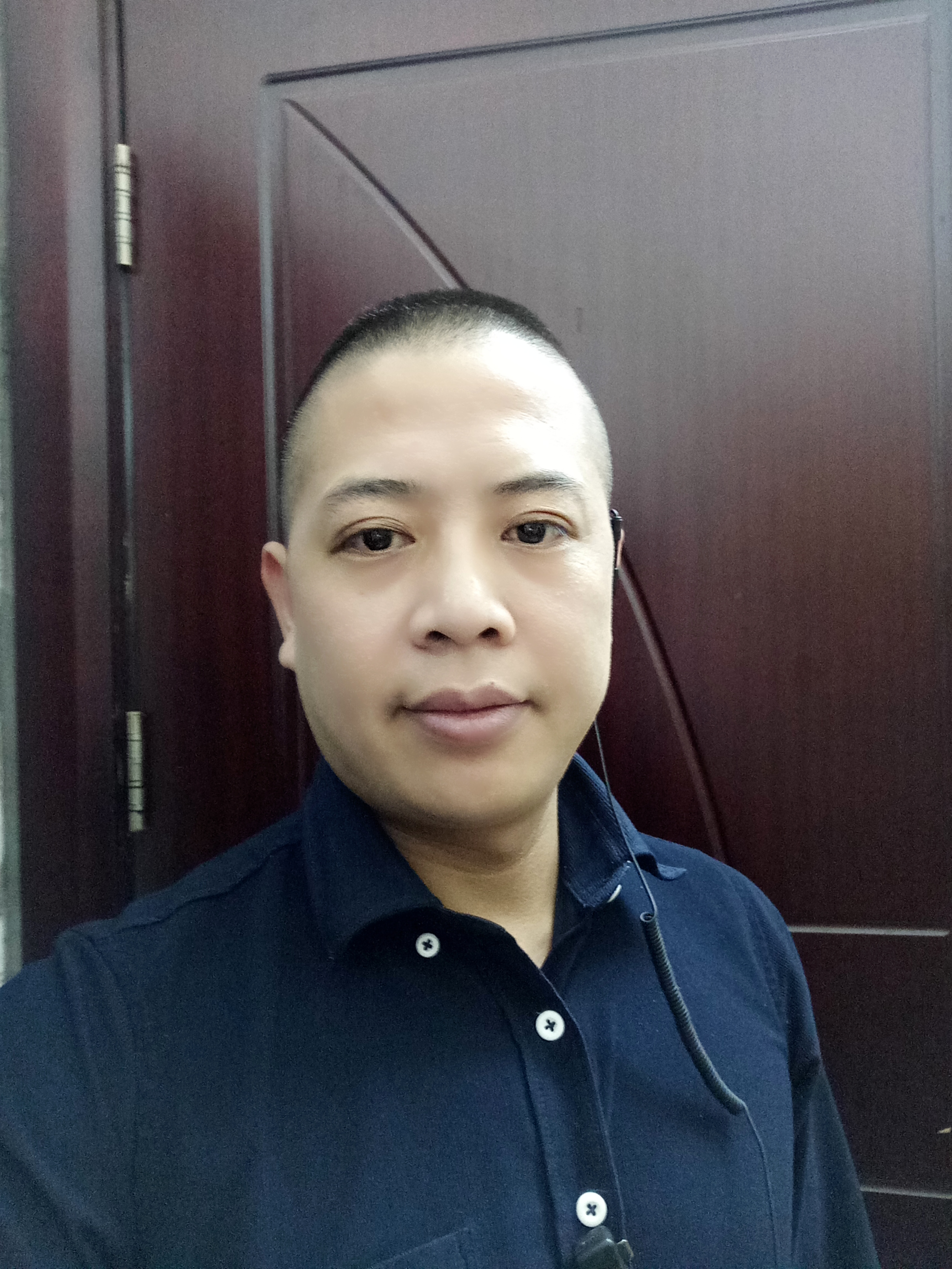藤缠树的照片