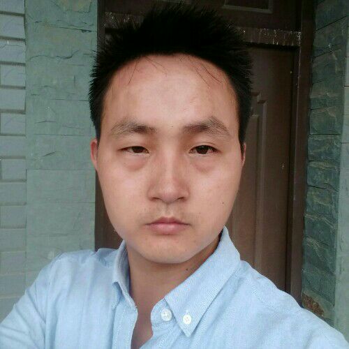 小洋杨的照片
