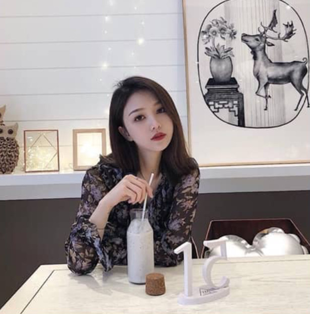 森林里的樱花象的照片