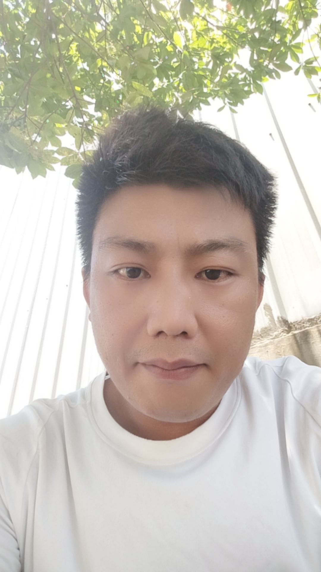 会员10417597的照片