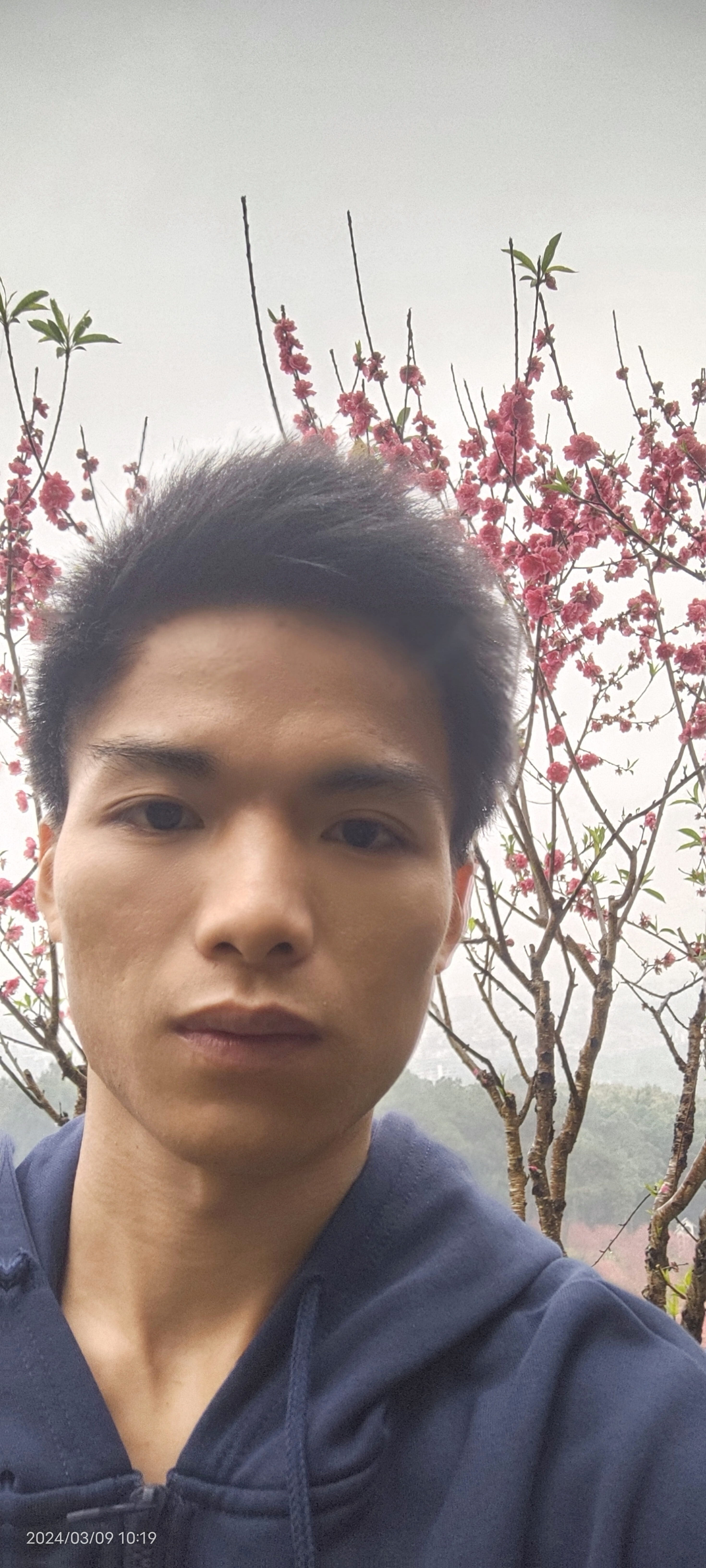 会员26536290的照片