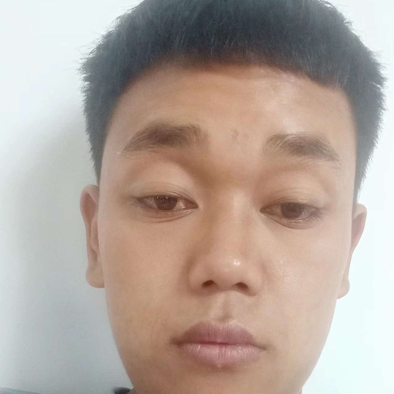 月光初见的照片