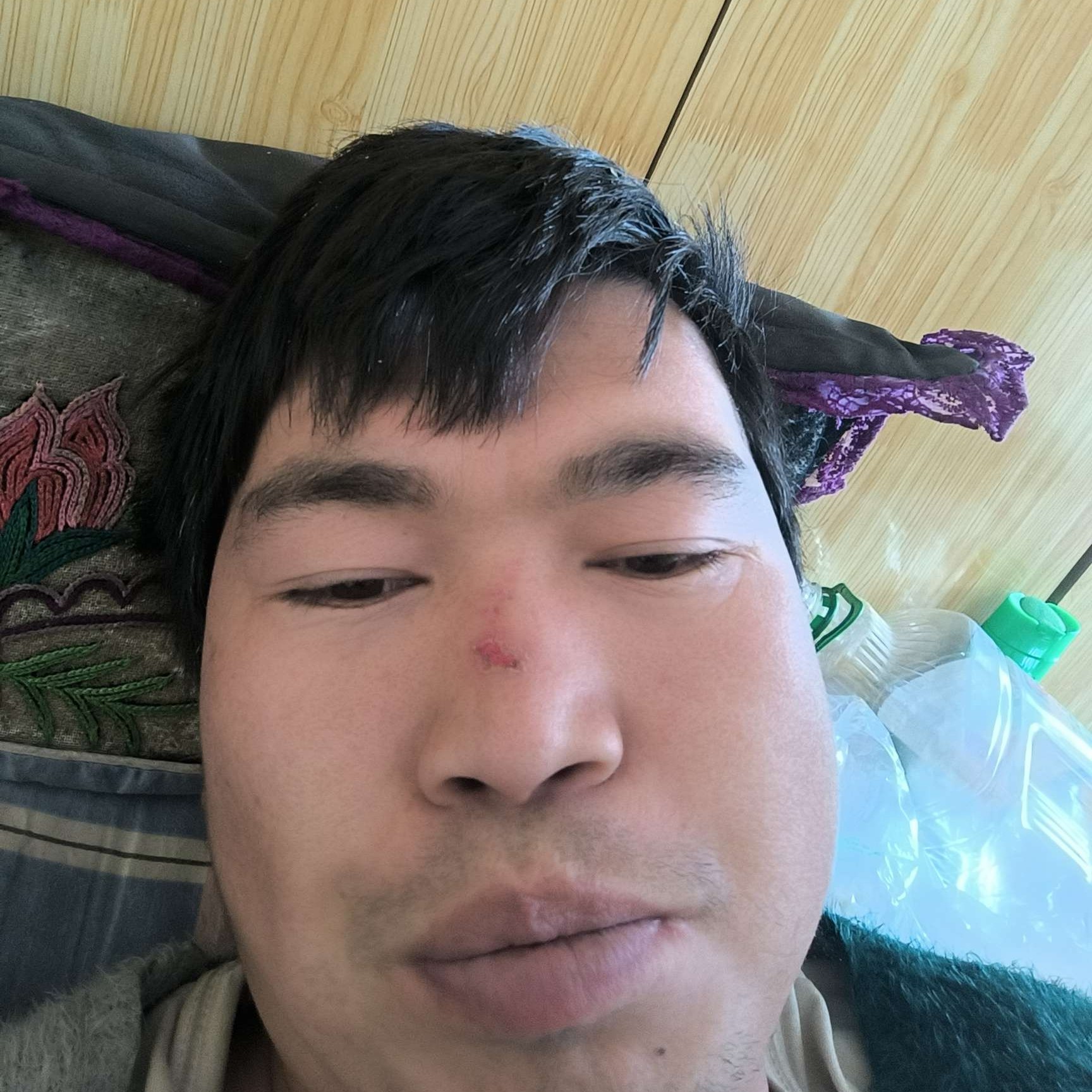 鸵鸟向魔幻的照片