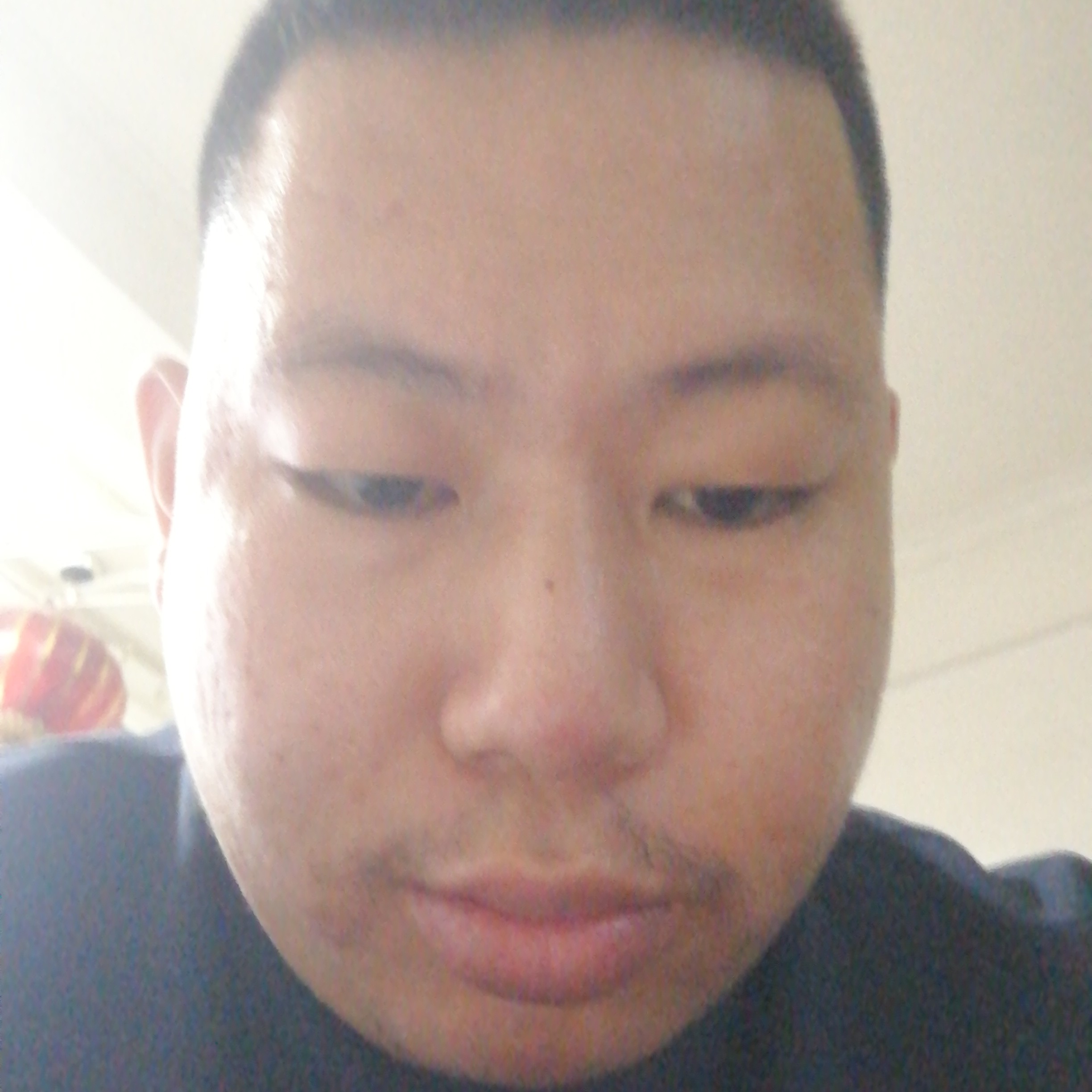 热情爱含羞草的照片