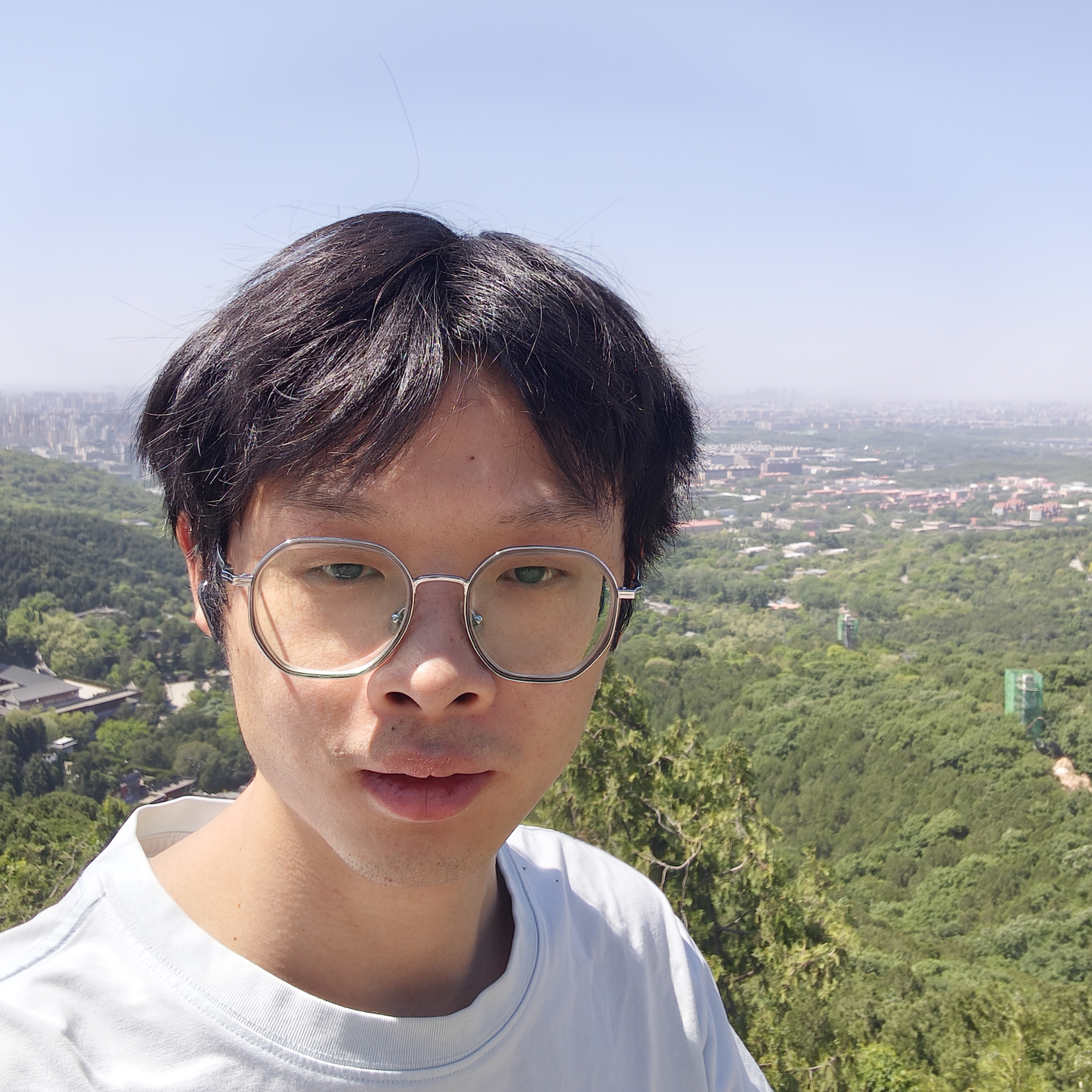 无声de丛林