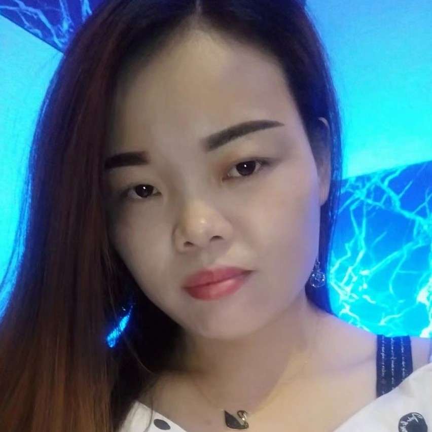 甜美还刺猬的照片