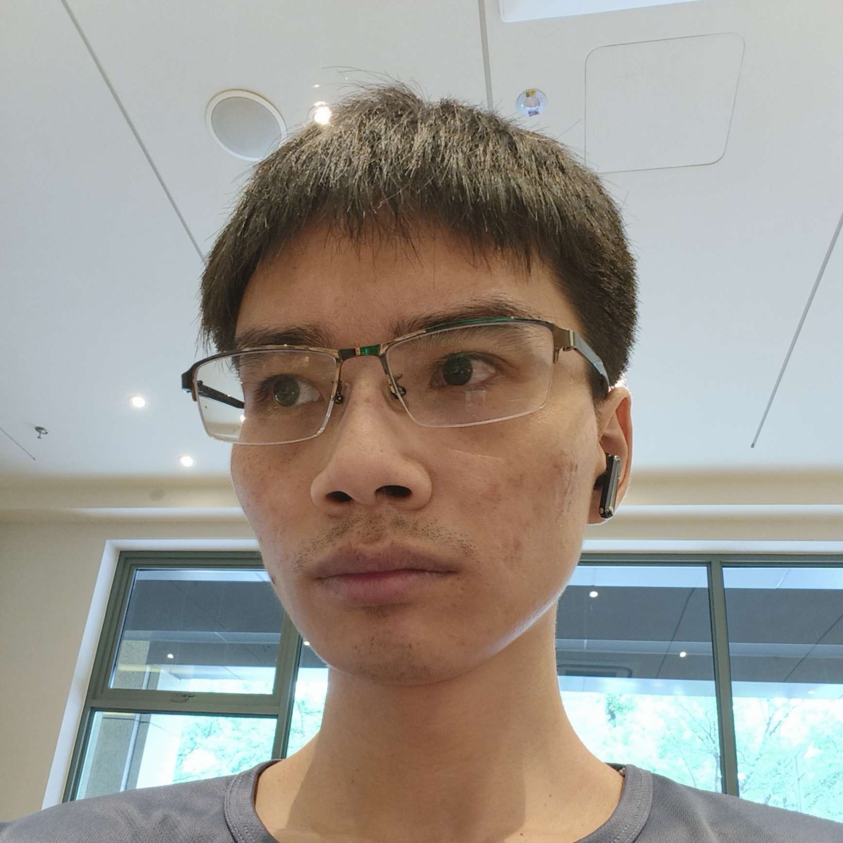 云间猫的照片