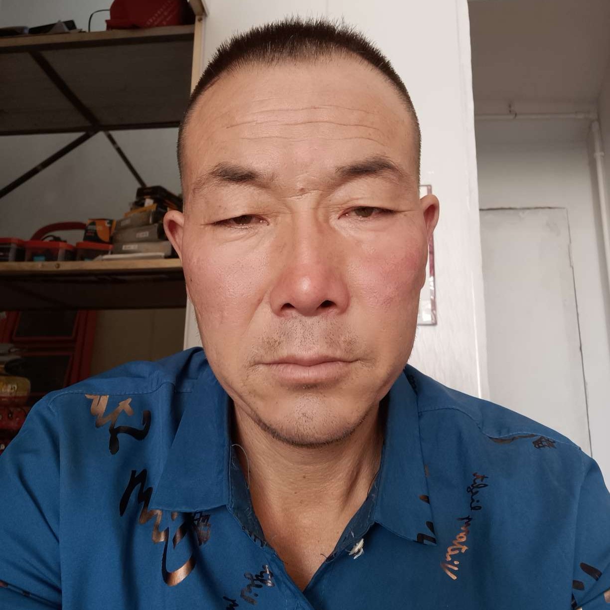 向日葵用高贵的照片
