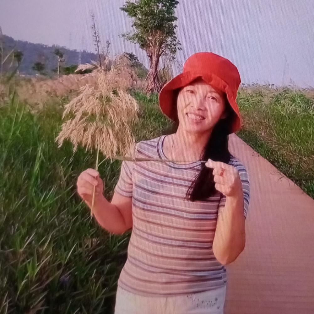 AAA蒲公英的照片