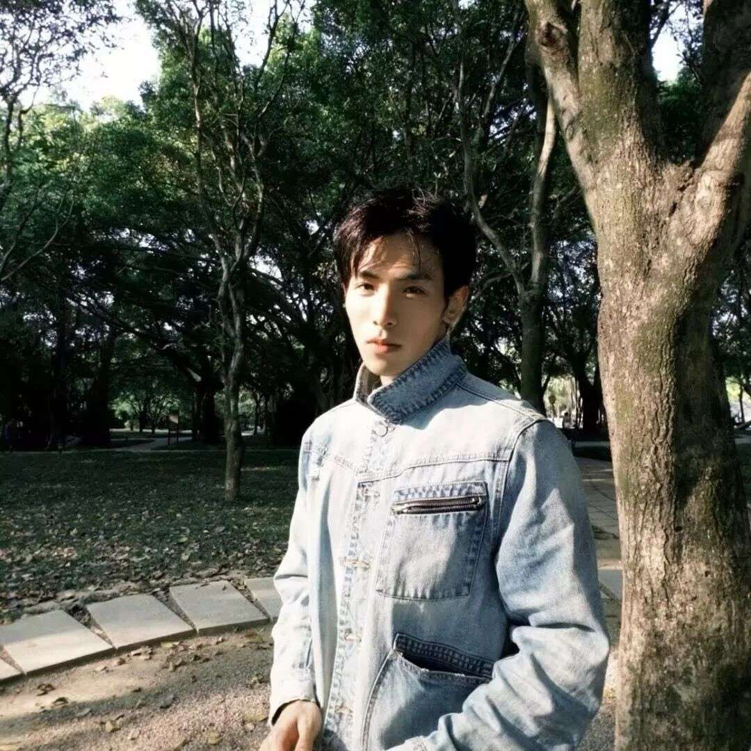 陈歌的照片