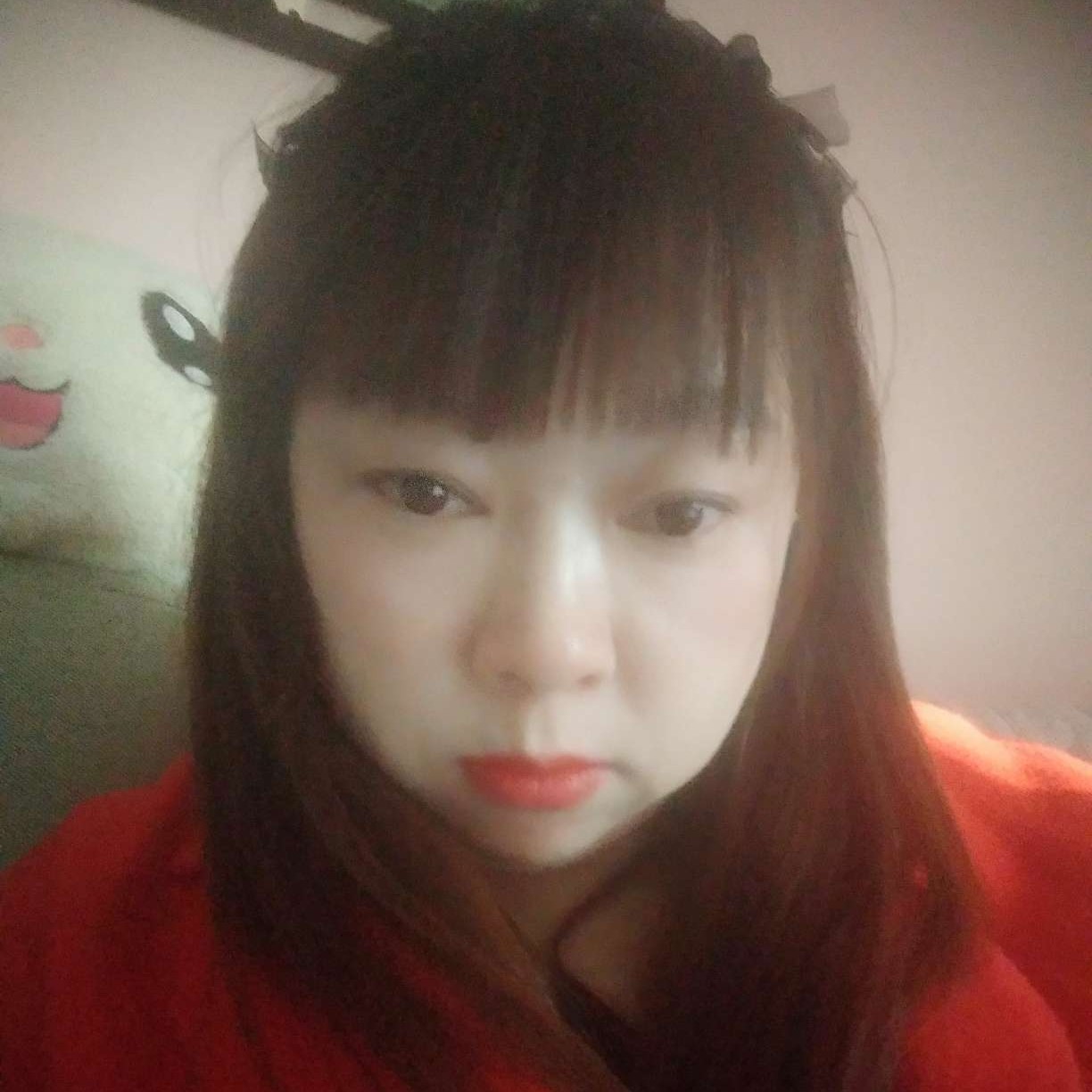 典雅用小蝴蝶的照片