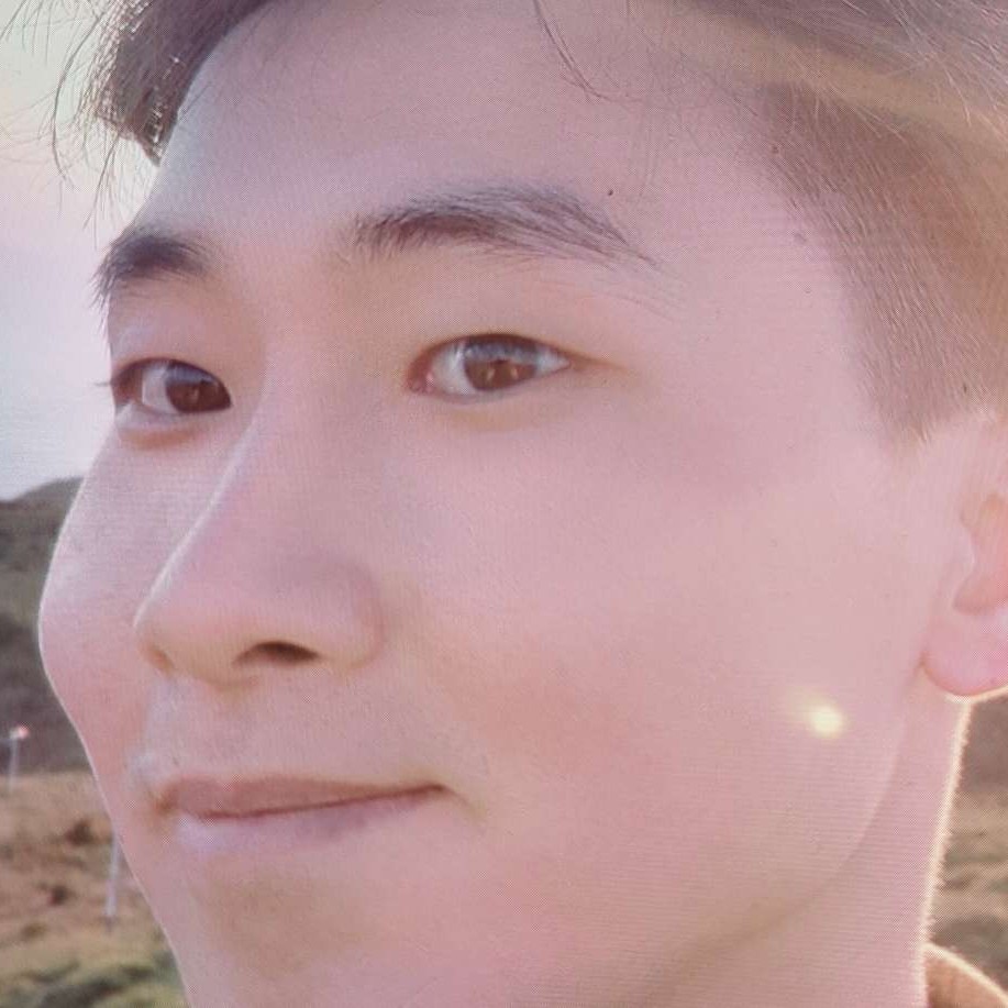 羊停止有魅力的照片